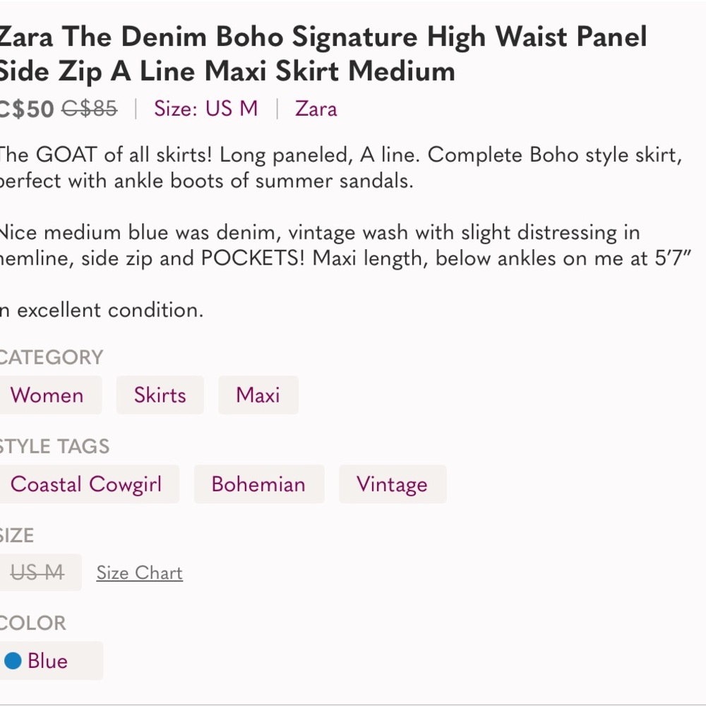 Zara The Denim Boho Signature High Waist Panel Side Zip A Line Maxi Skirt M - Picture 11 of 11